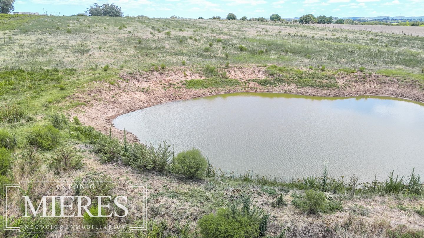 Quinta EN VENTA