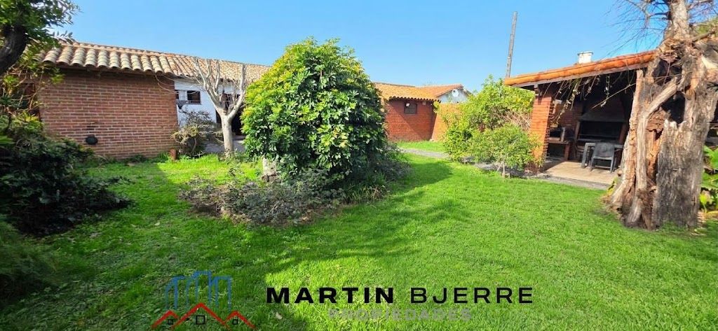 Imagen 30