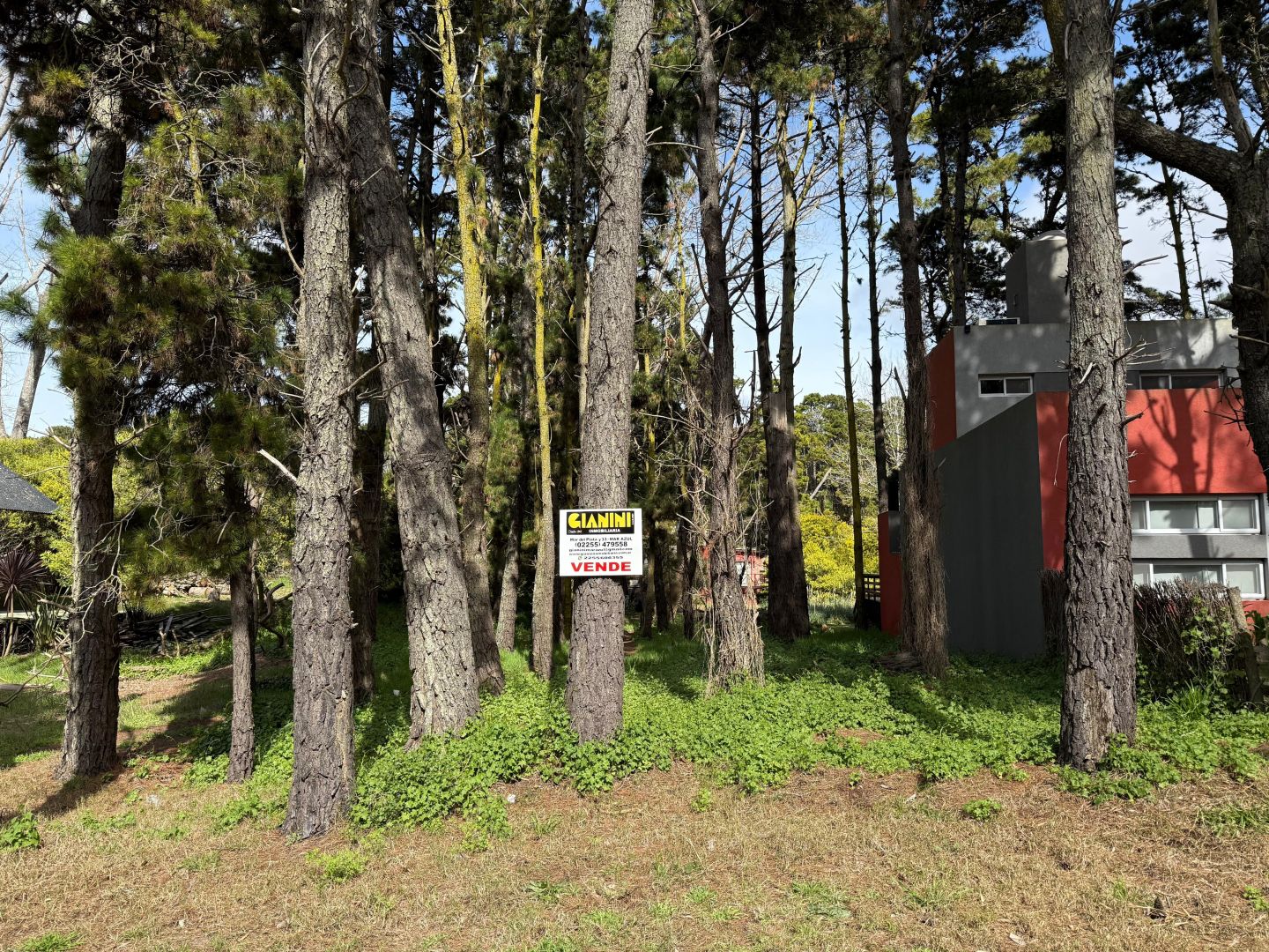 Lote en venta 