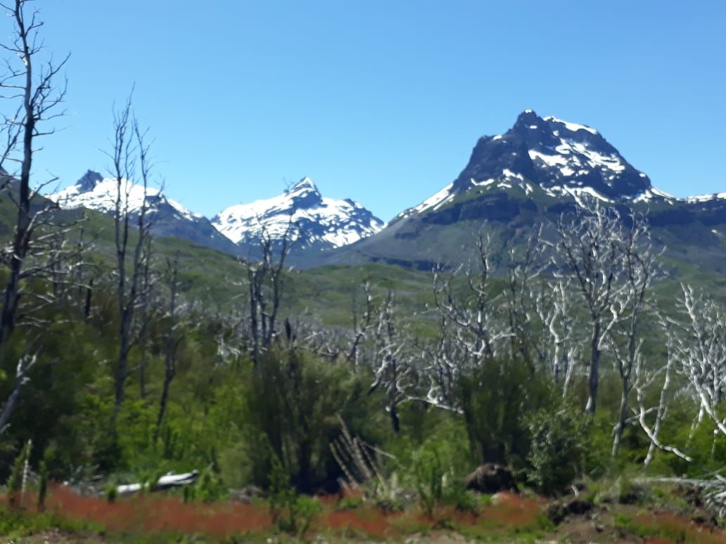 Campo EN VENTA