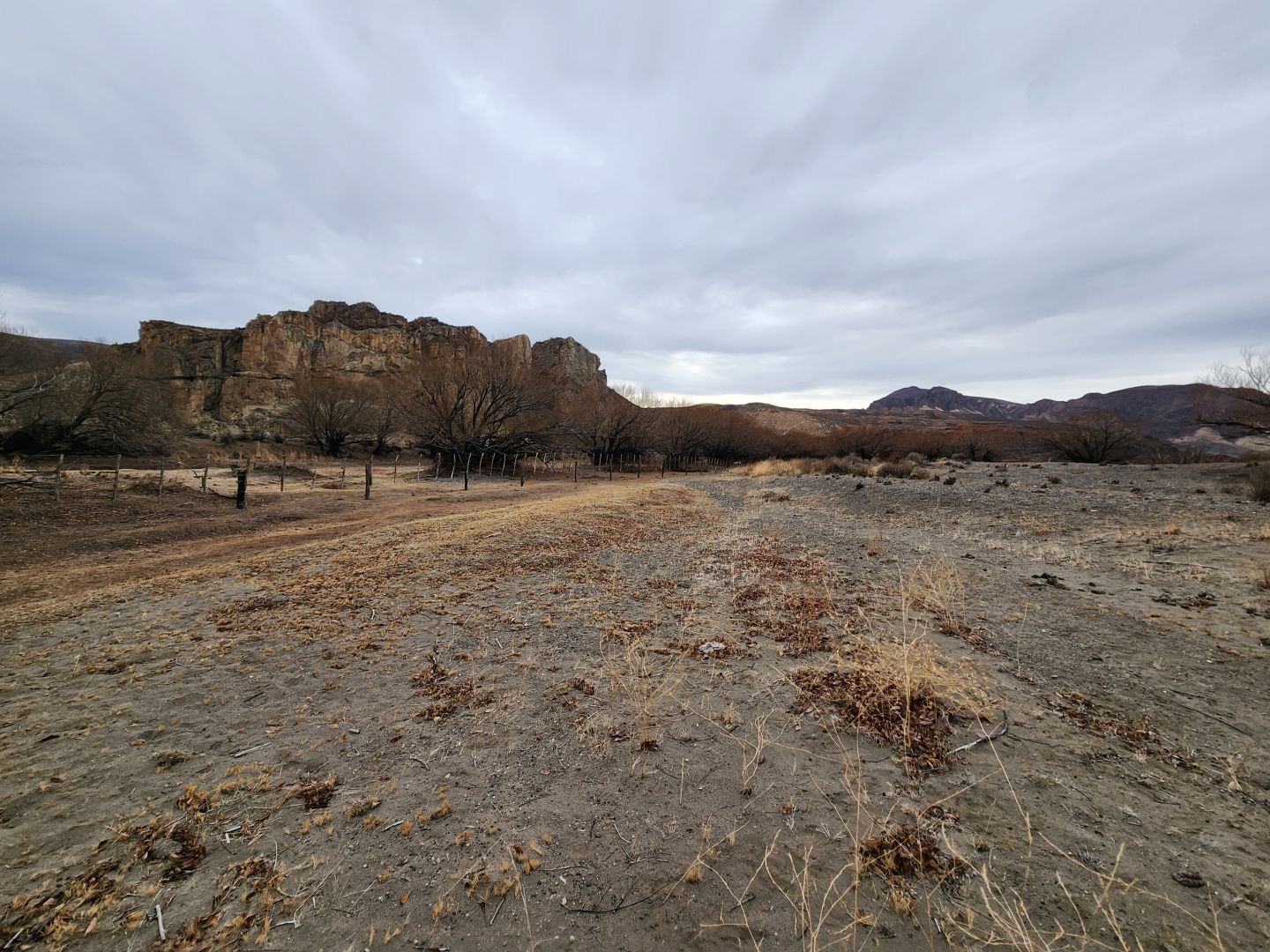 Campo EN VENTA