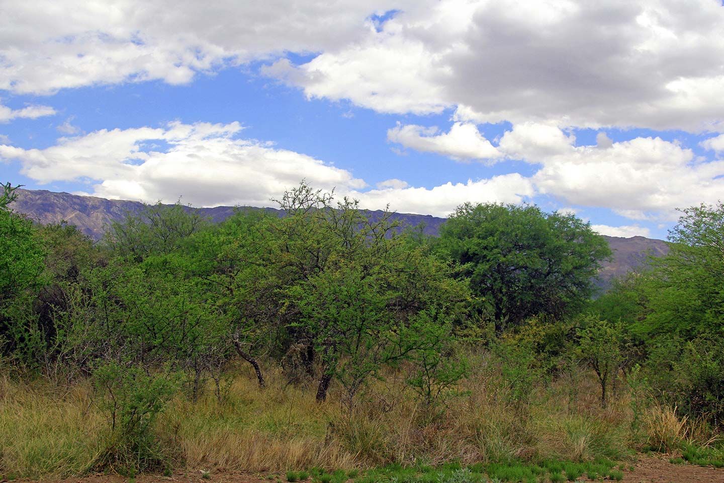 Lote EN VENTA