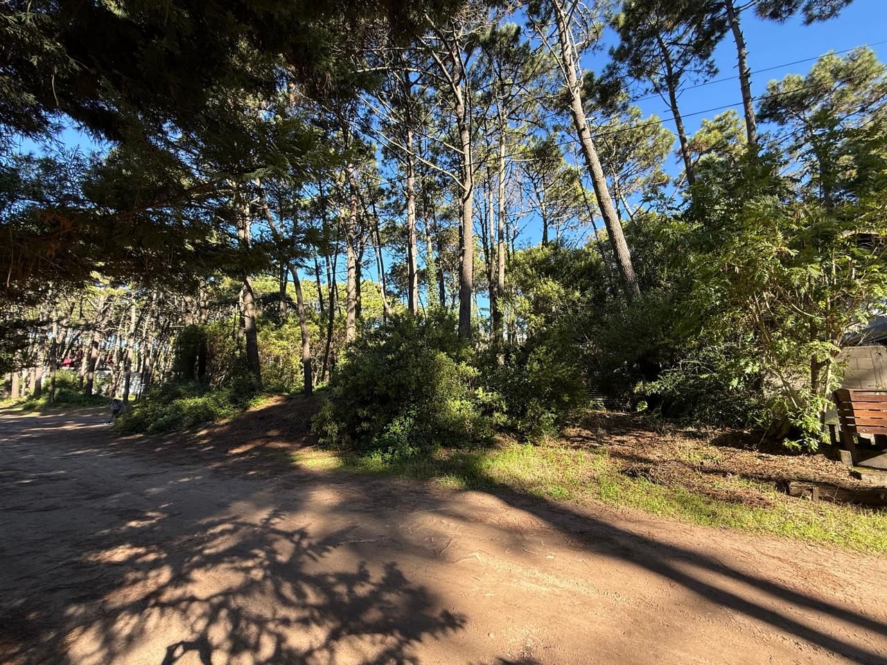 Lote EN VENTA