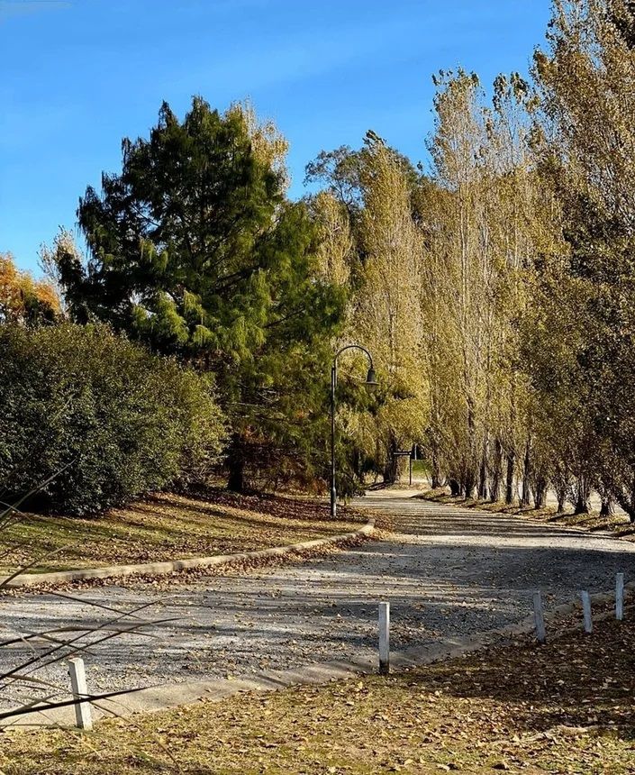 Lote EN VENTA