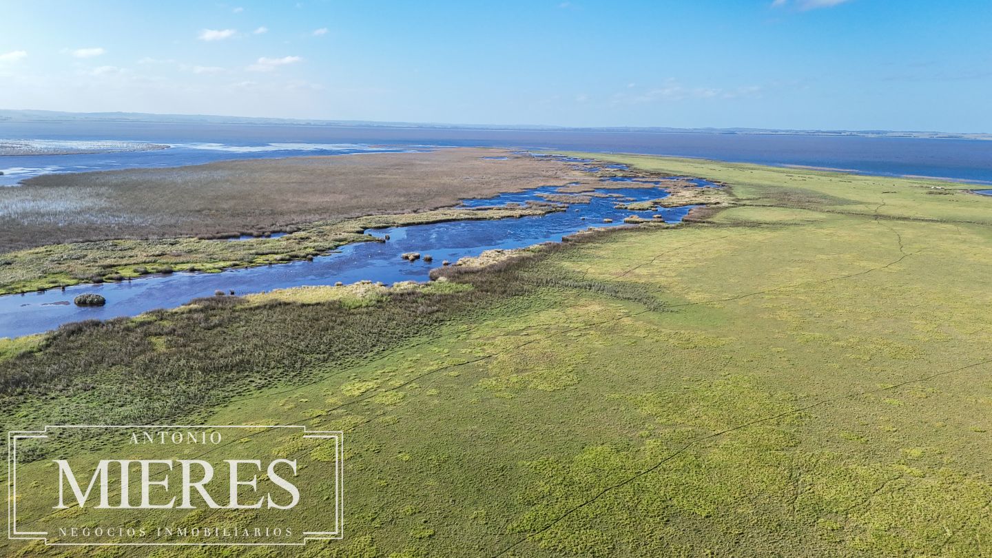 Campo EN VENTA