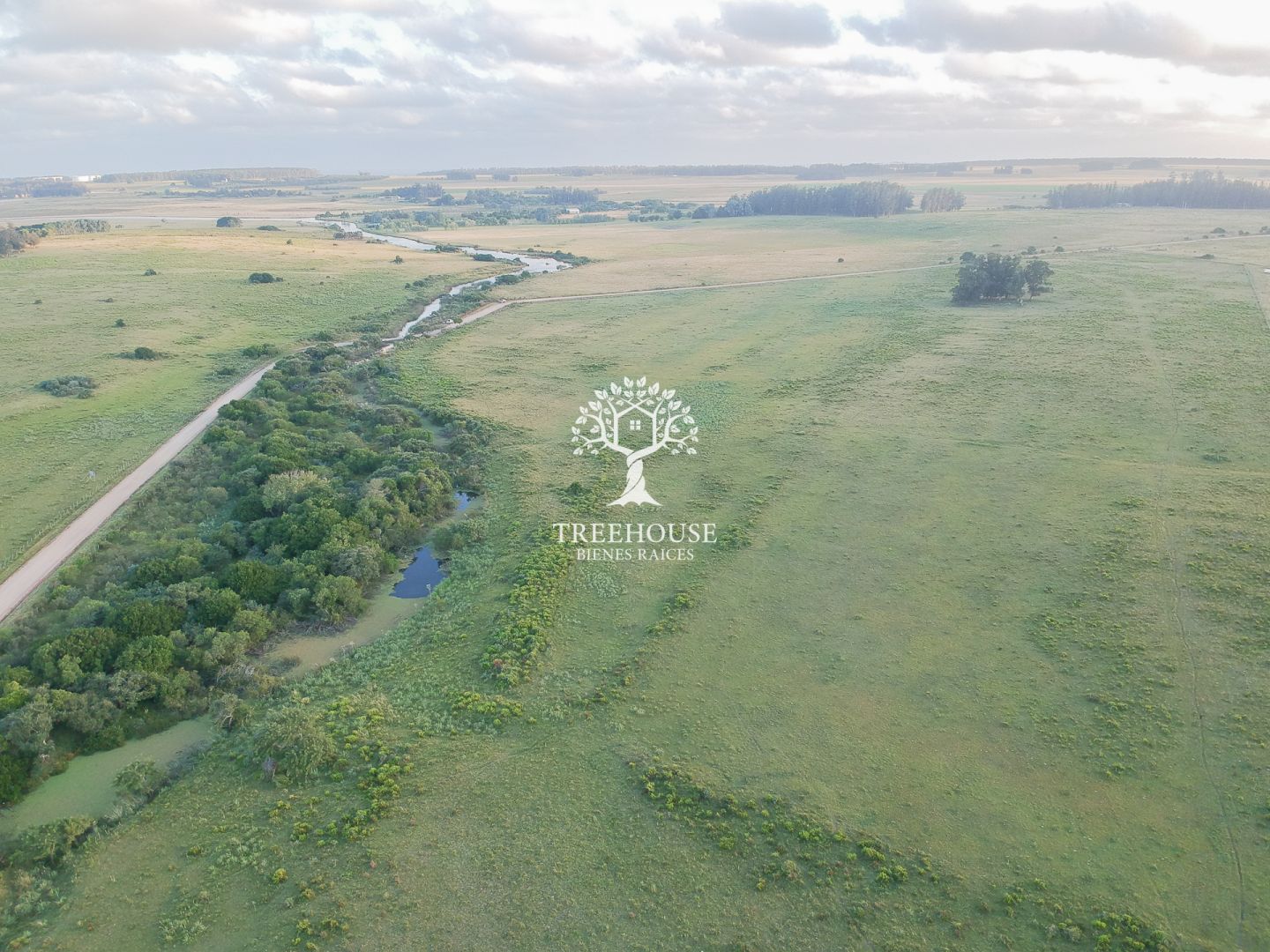 Campo EN VENTA