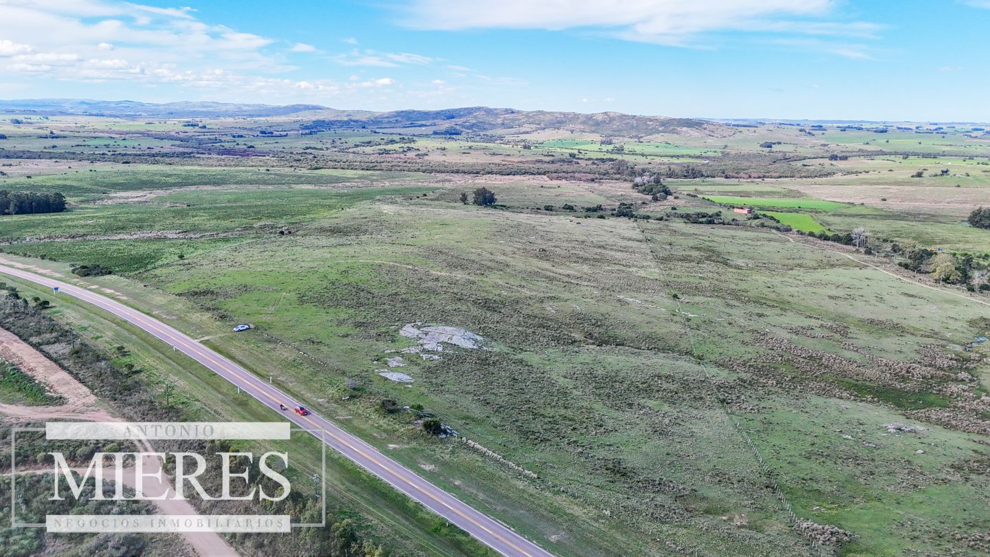 Campo EN VENTA