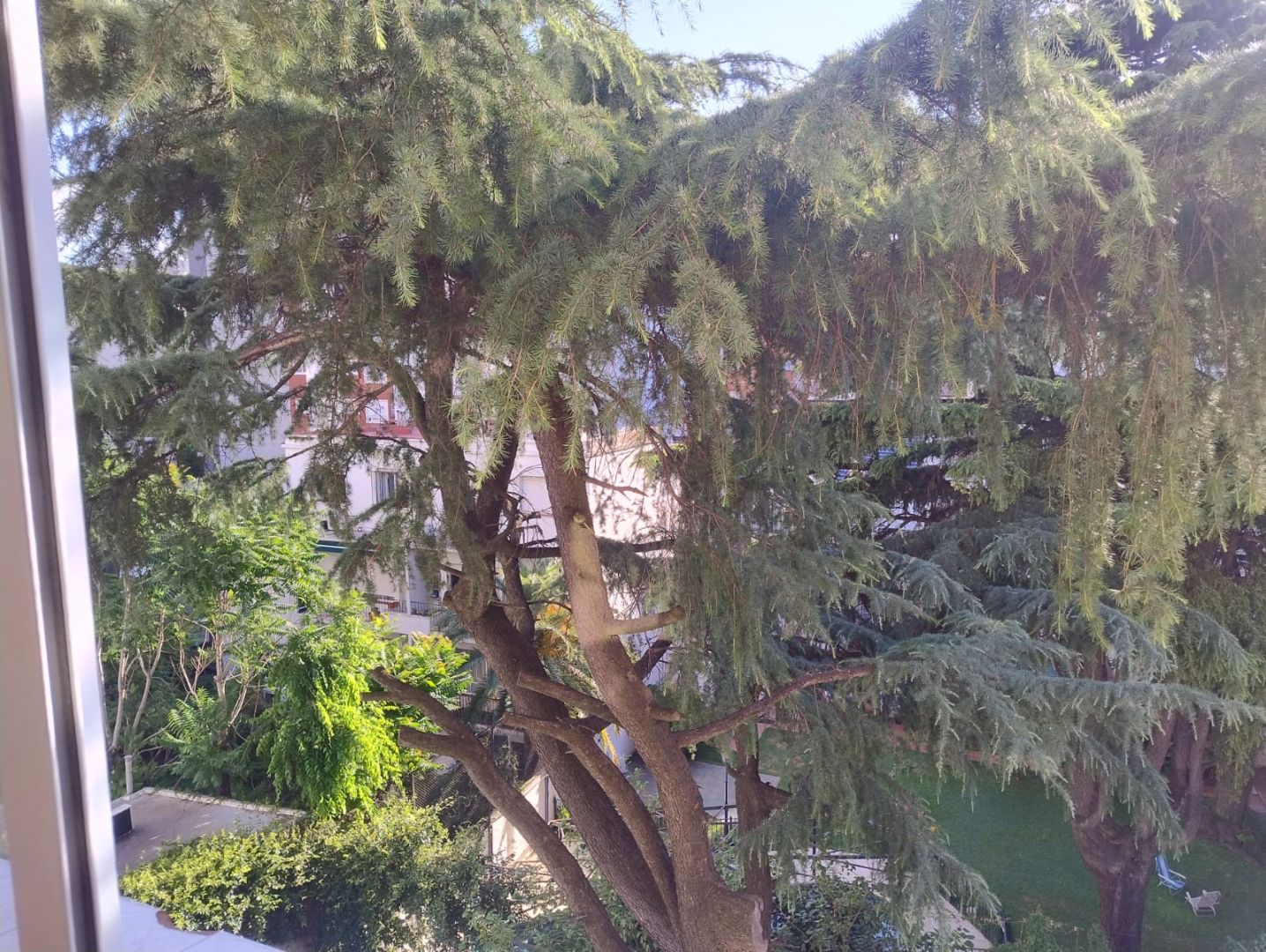 ALQUILER DE DEPARTAMENTO EN Capital Federal - Belgrano - 9