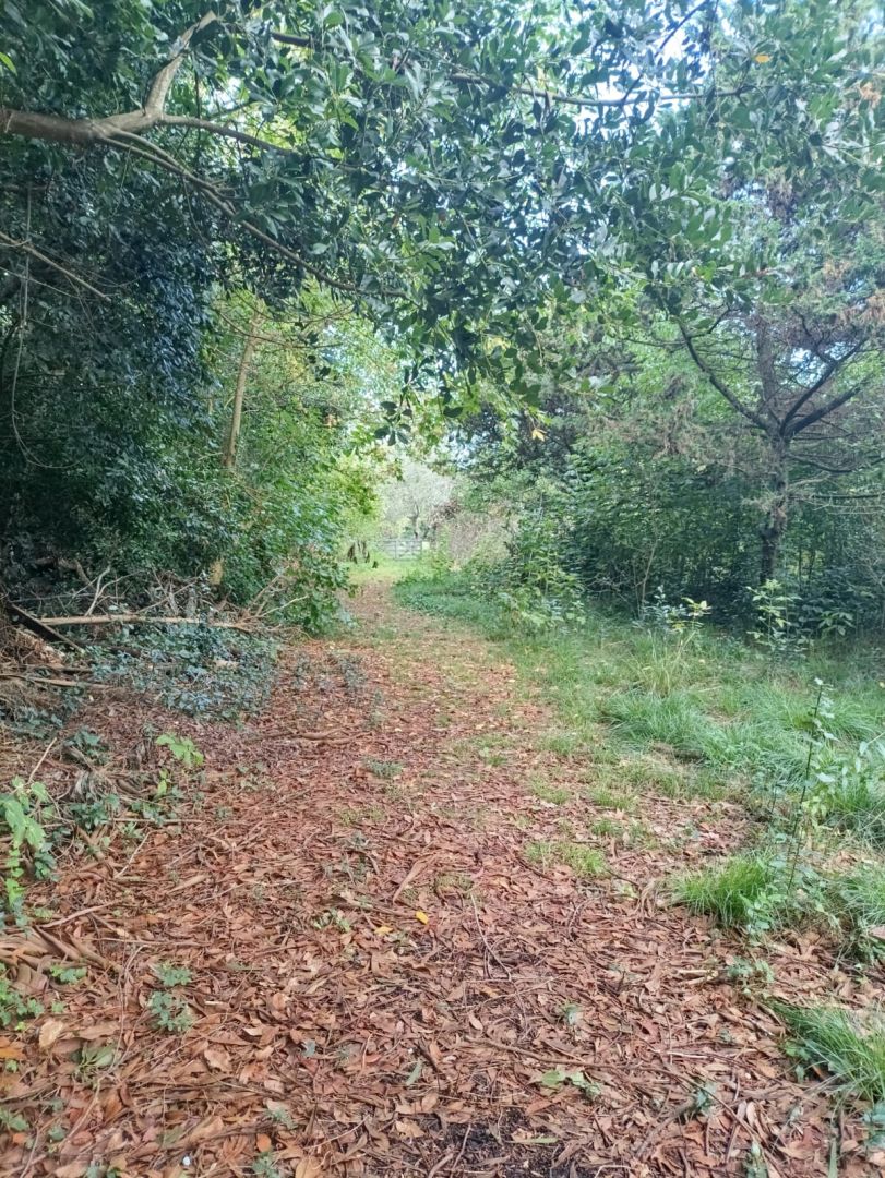 Quinta EN VENTA
