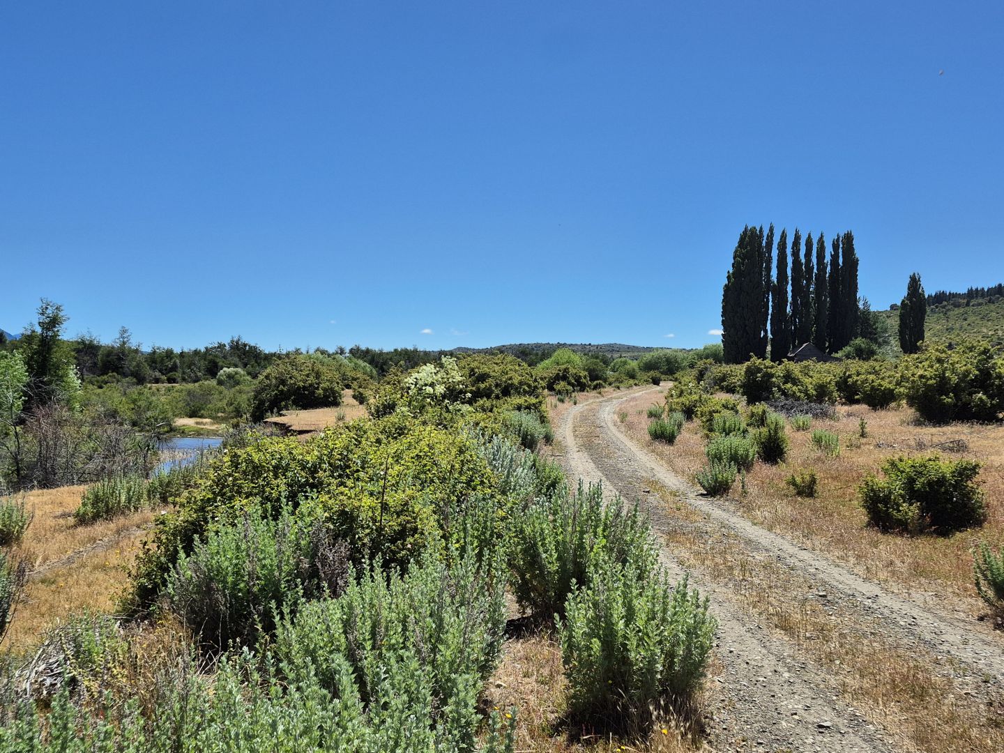 Campo EN VENTA