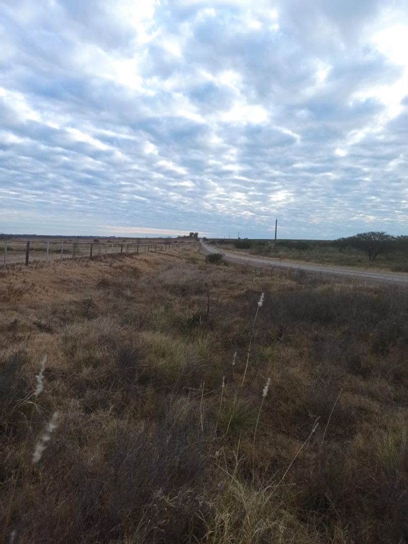 Campo EN VENTA