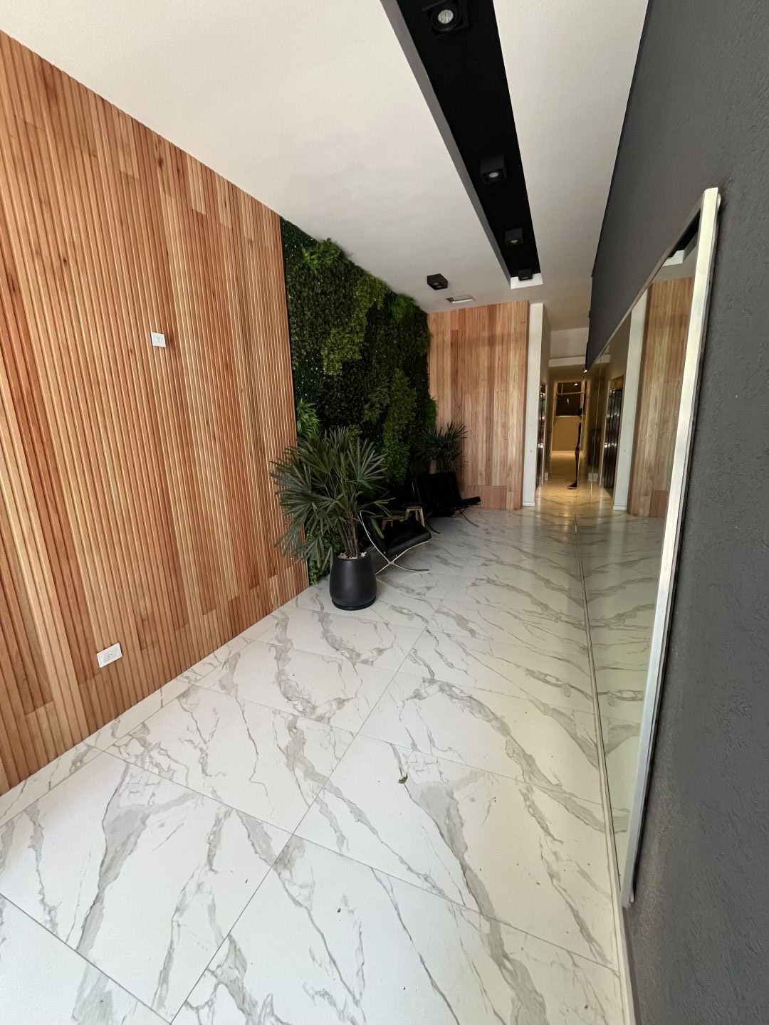 Imagen 5