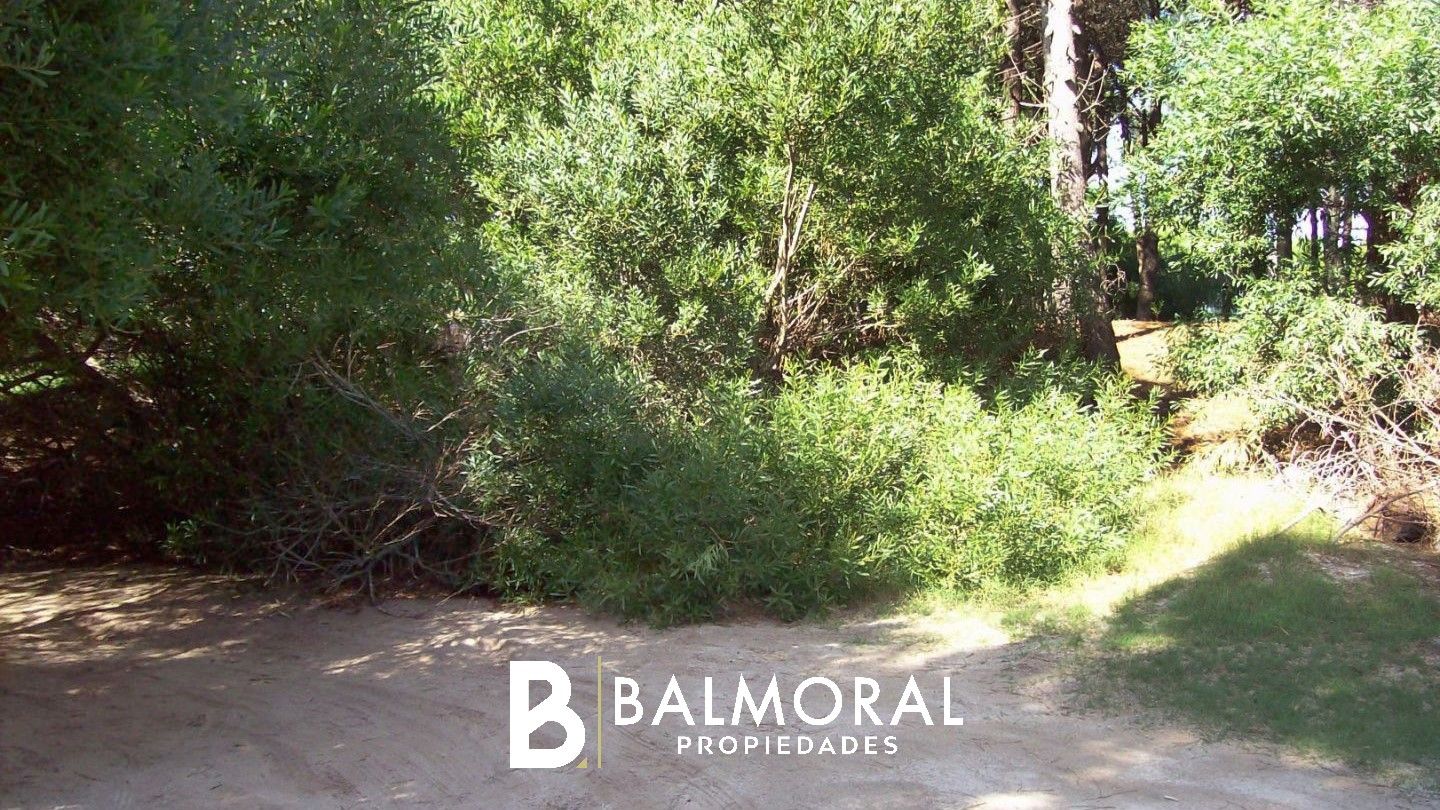 Lote EN VENTA