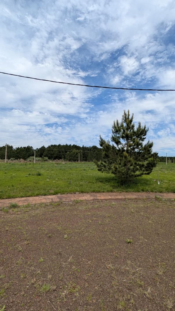 Lote EN VENTA