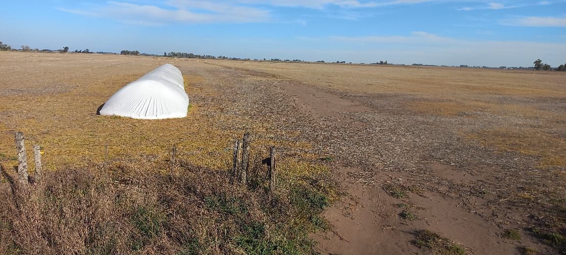 Campo EN VENTA
