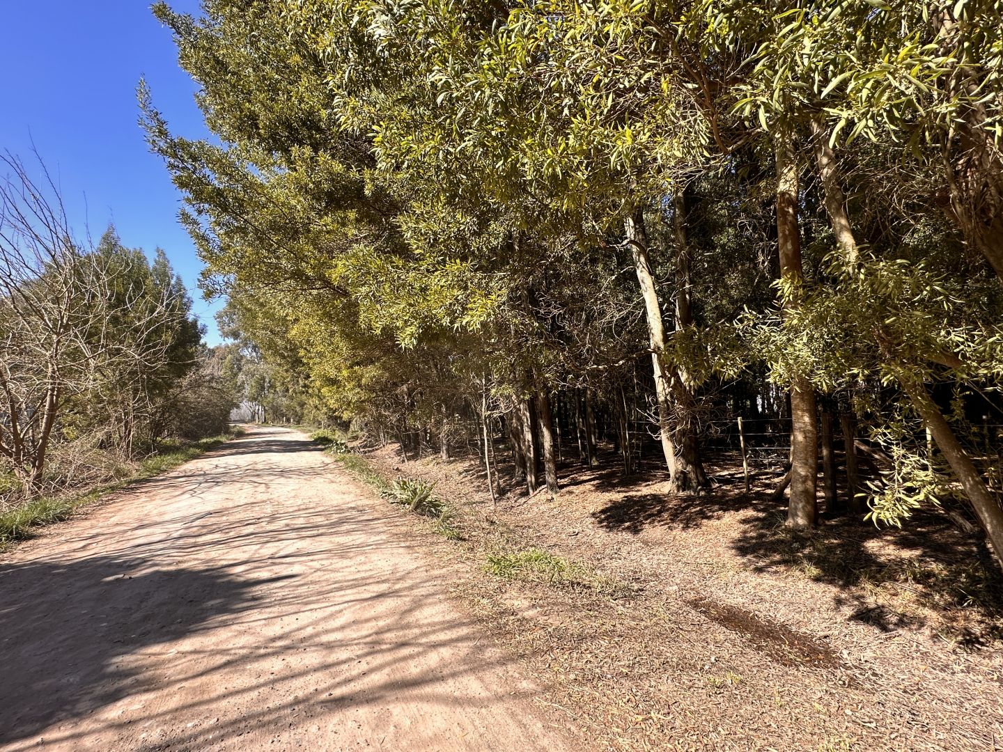 Lote EN VENTA