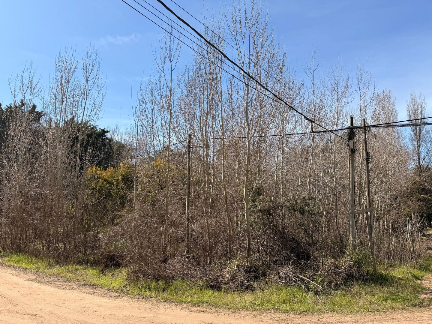 Lote EN VENTA