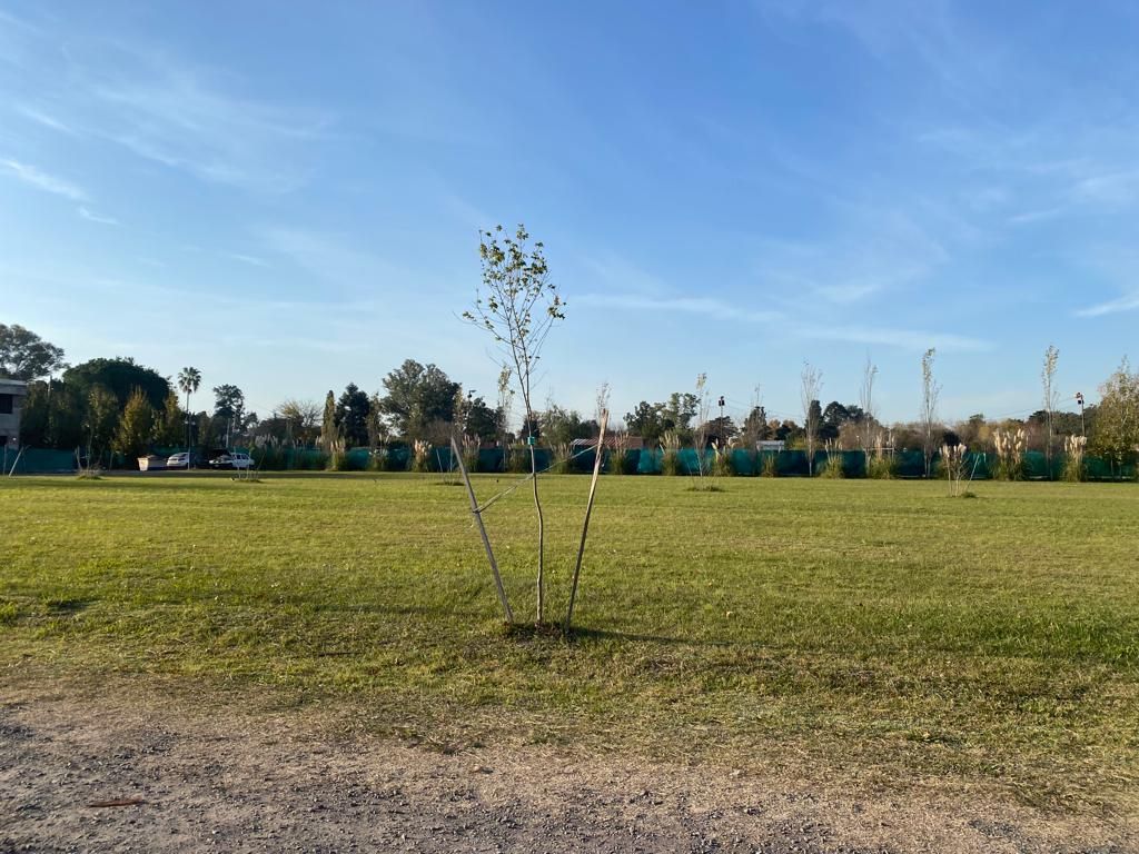VENTA DE LOTE EN San Miguel - San Miguel - 6