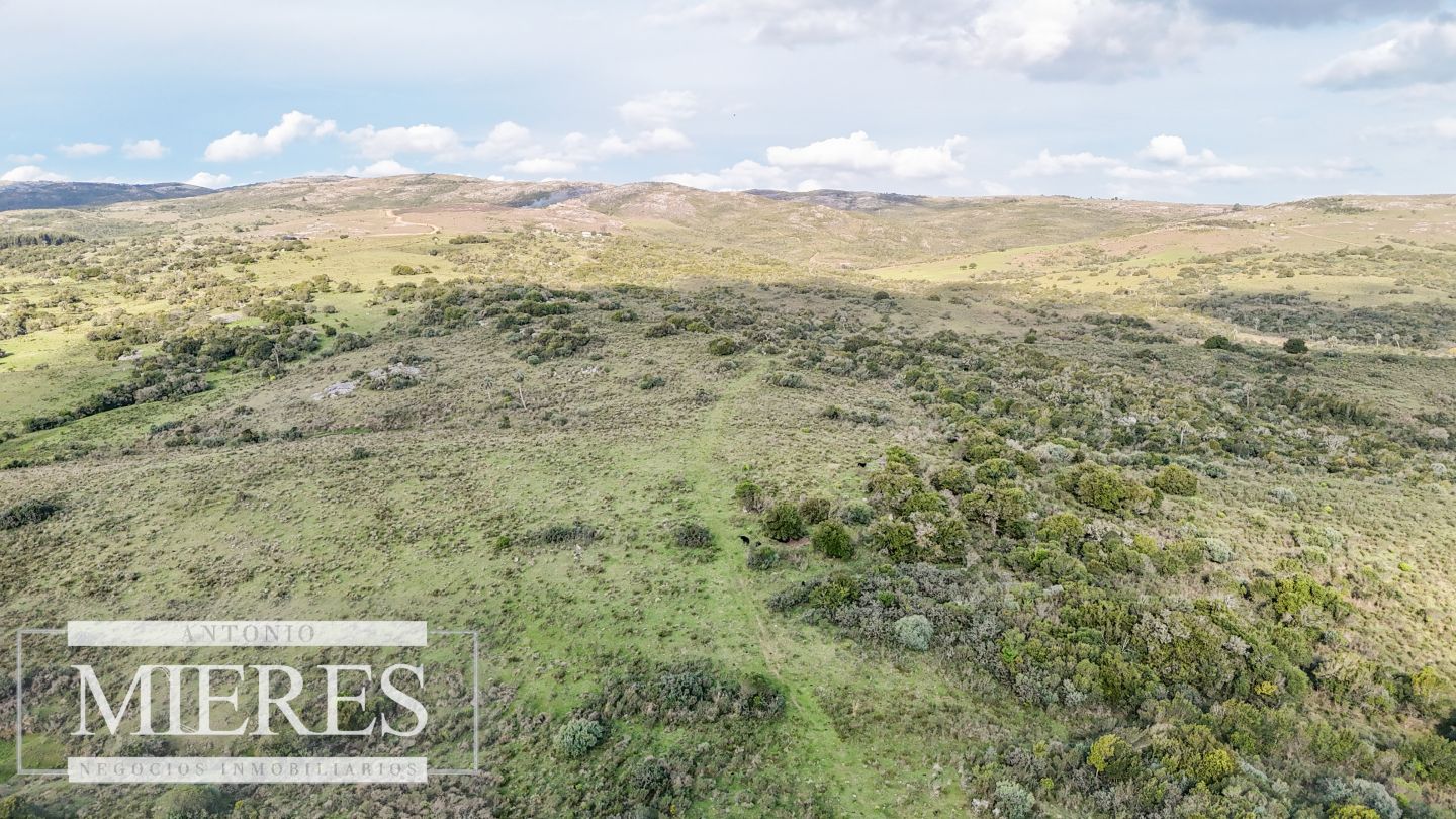 Campo EN VENTA