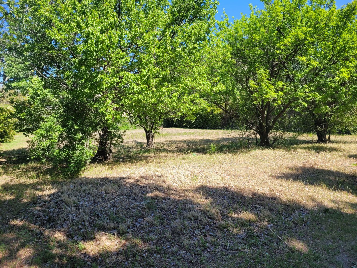 Lote EN VENTA