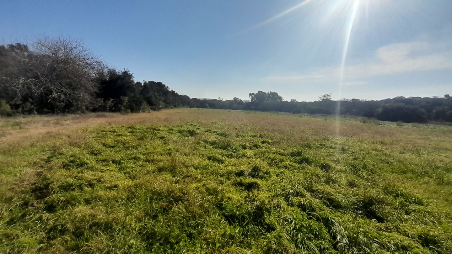 Lote EN VENTA