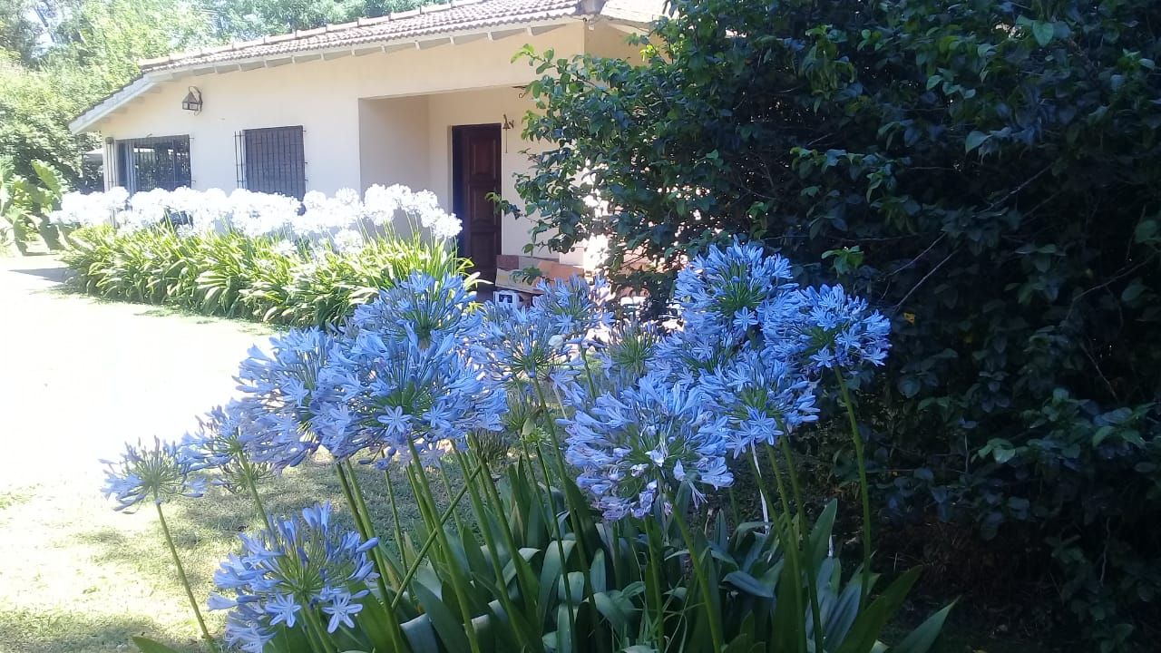 Quinta EN ALQUILER
