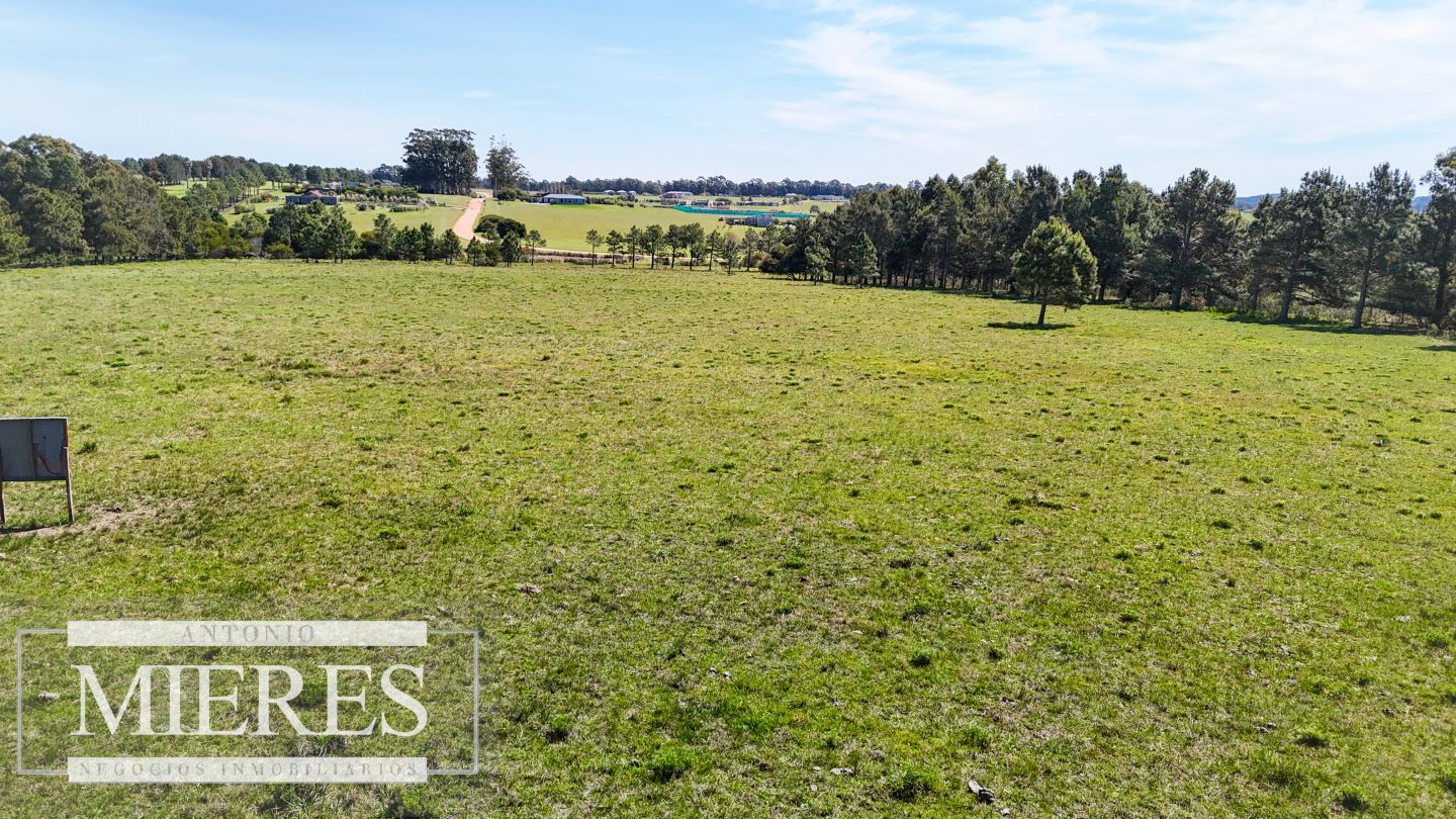 Quinta EN VENTA