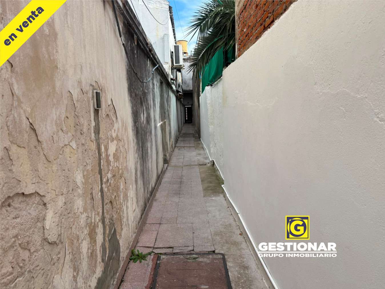 Imagen 2