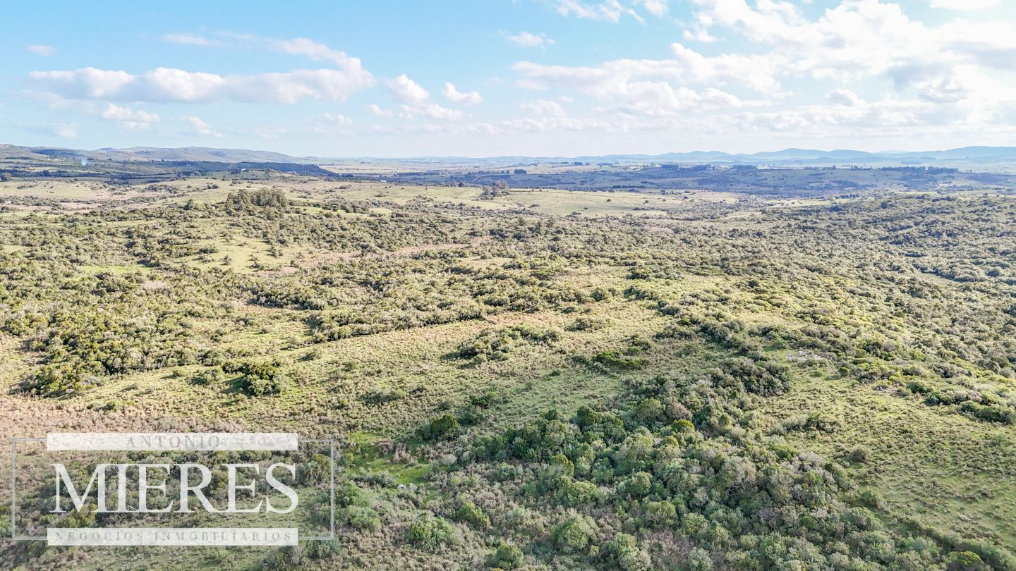 Campo EN VENTA