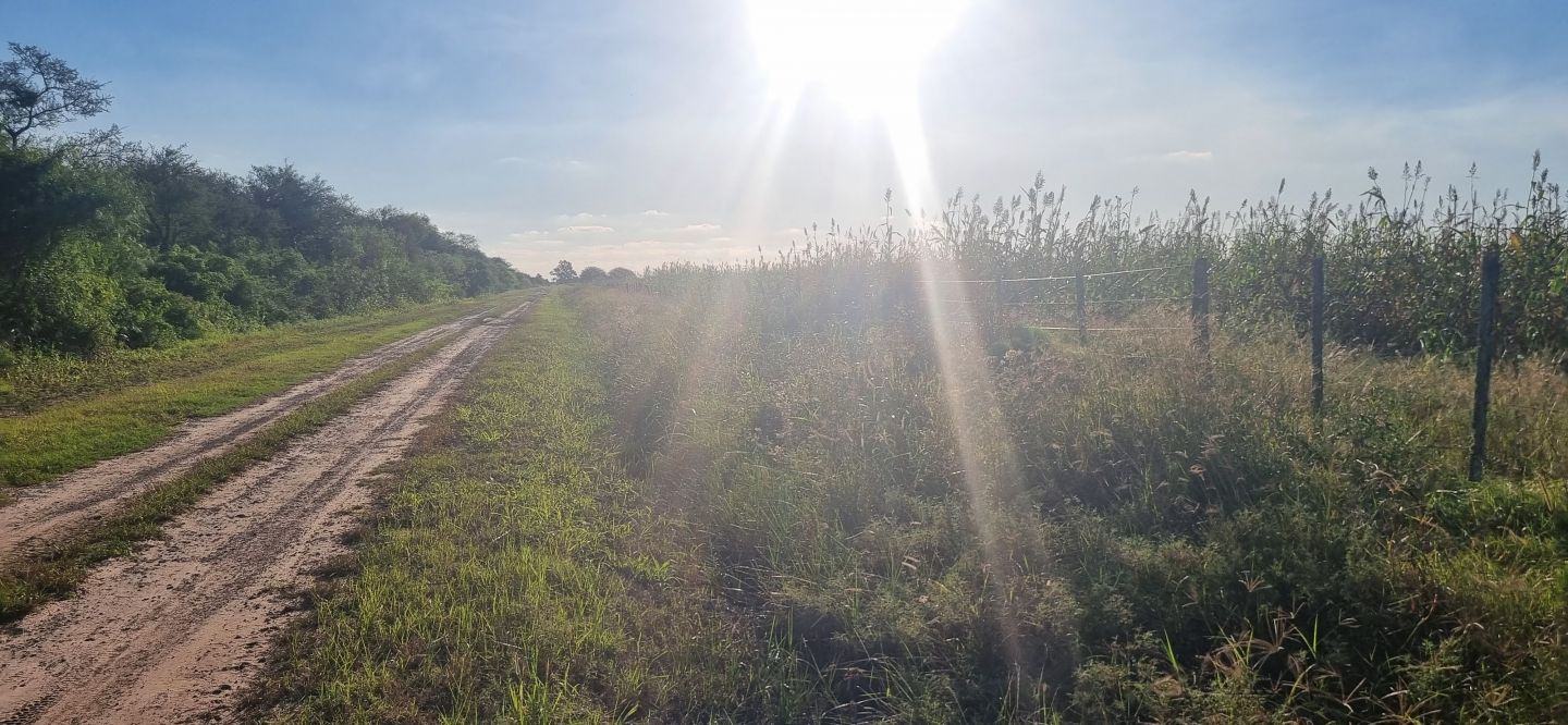 Campo EN VENTA