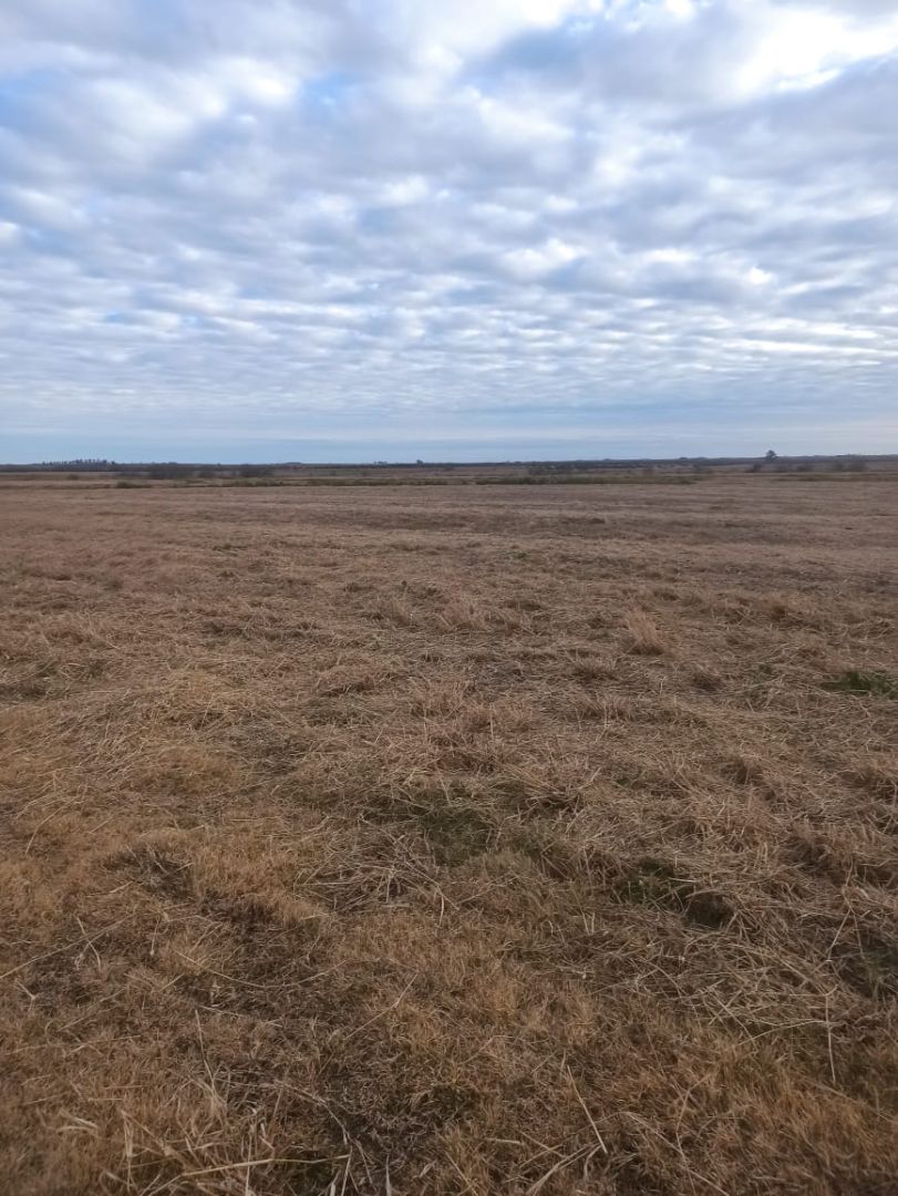 Campo EN VENTA