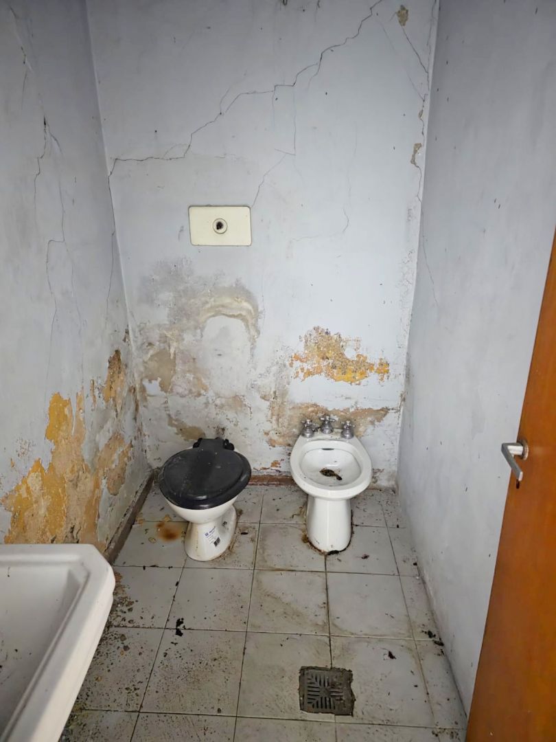 Imagen 6