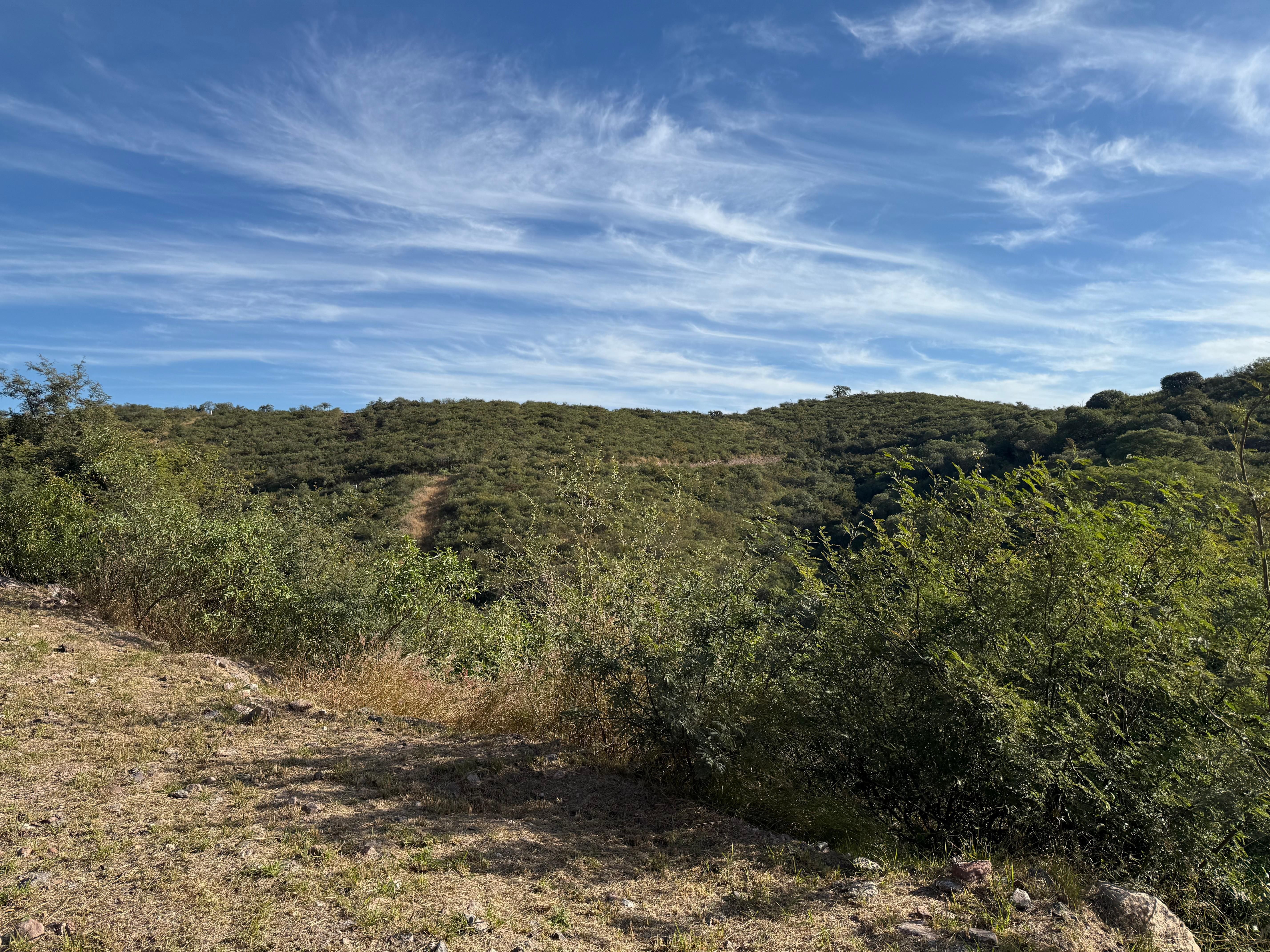 Lote EN VENTA