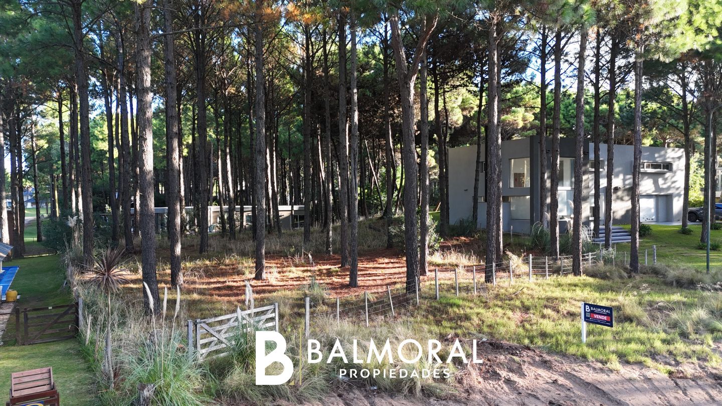 Lote EN VENTA