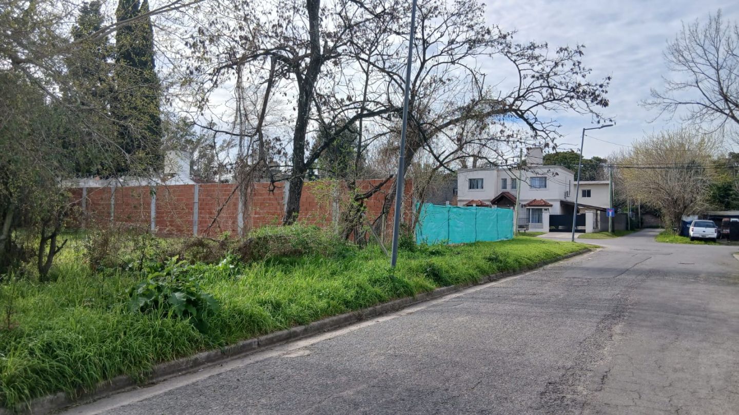 Imagen 3
