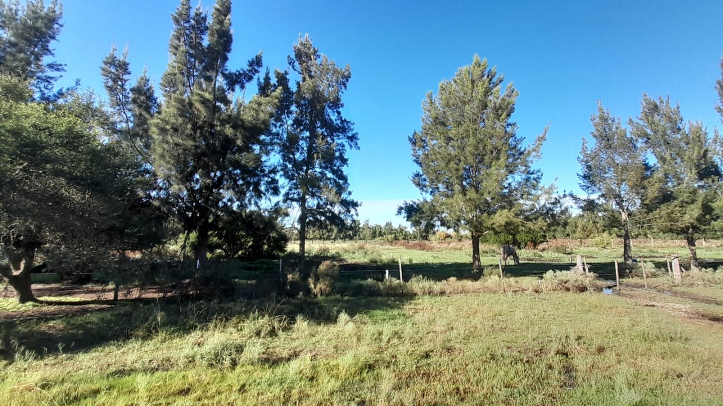 Lote en Venta en Punta Indio, Buenos Aires Interior