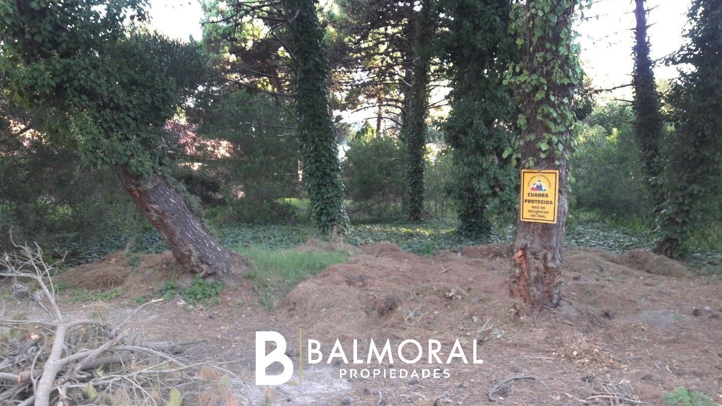 VENTA DE LOTE EN Pinamar - Bosque B5 - 1