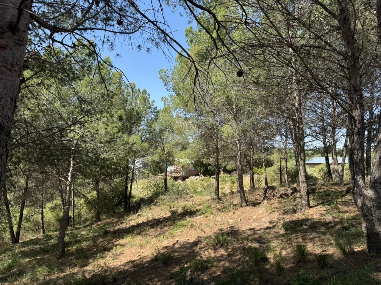 Lote EN VENTA