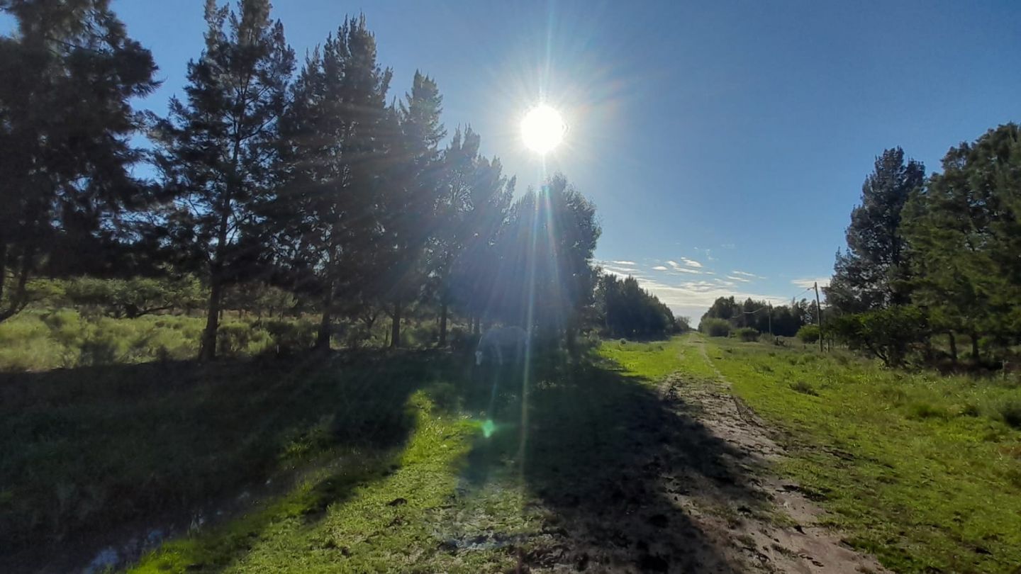 Lote en Venta en Punta Indio, Buenos Aires Interior