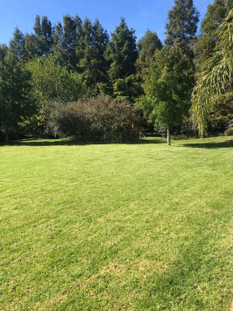 VENTA DE LOTE EN San Vicente - El Lauquen - 3