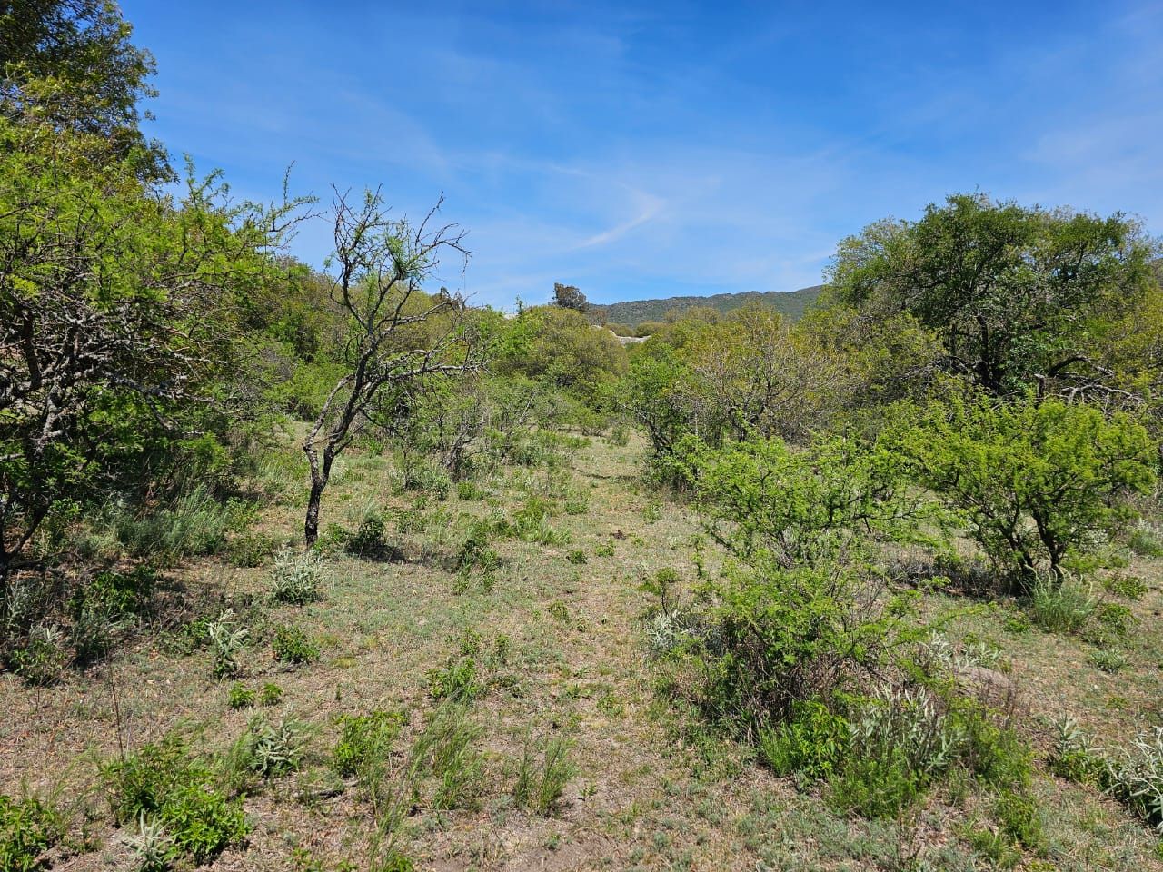 Lote EN VENTA