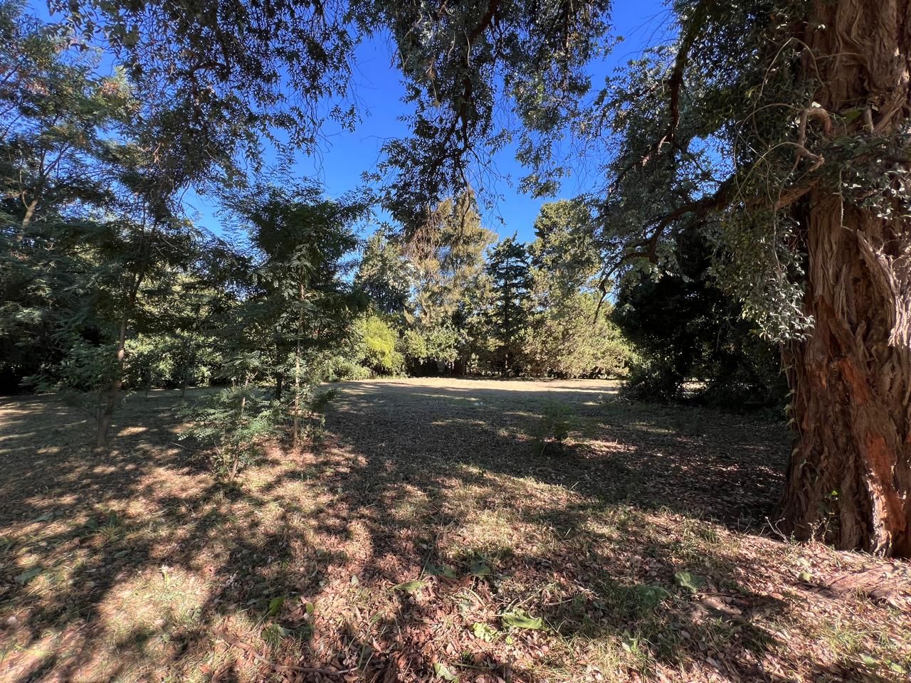 Lote EN VENTA