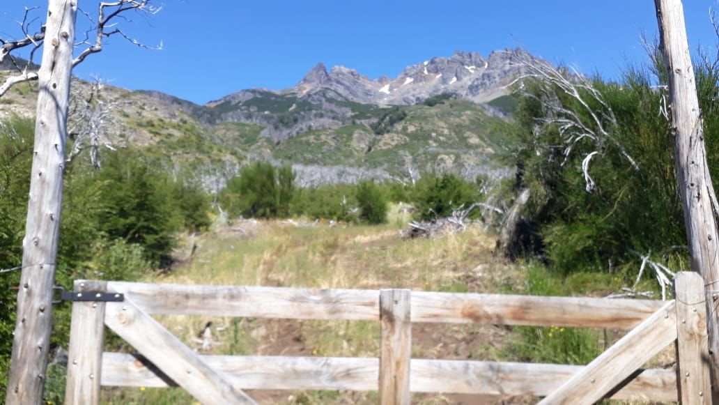 Campo EN VENTA