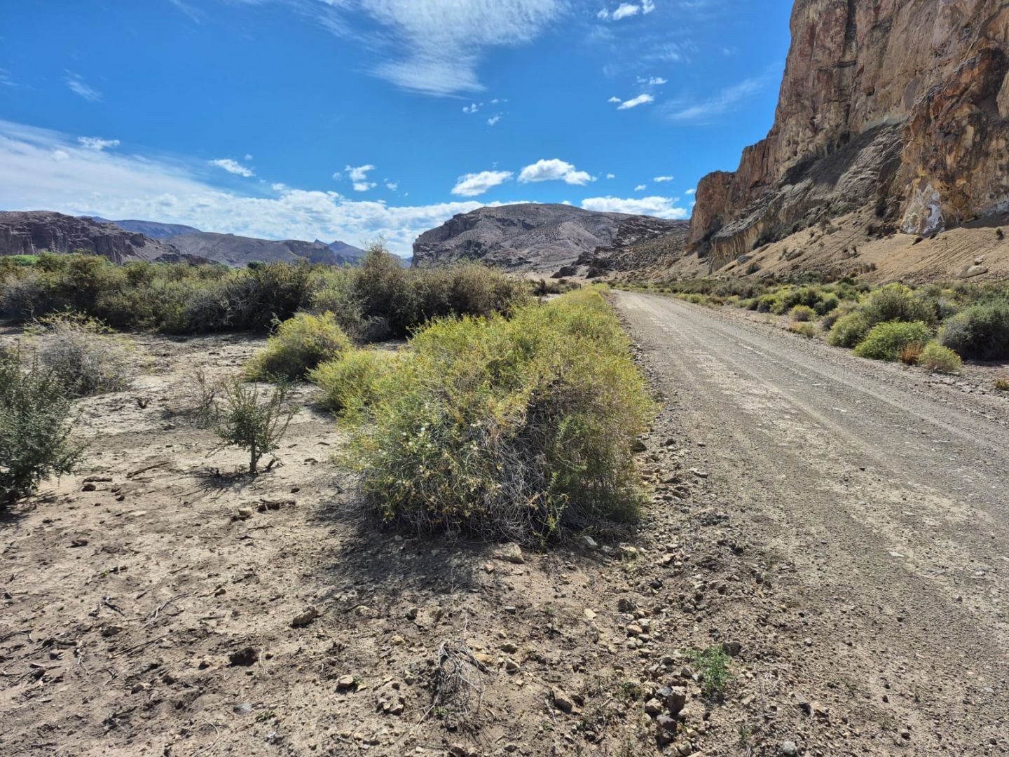 Campo EN VENTA