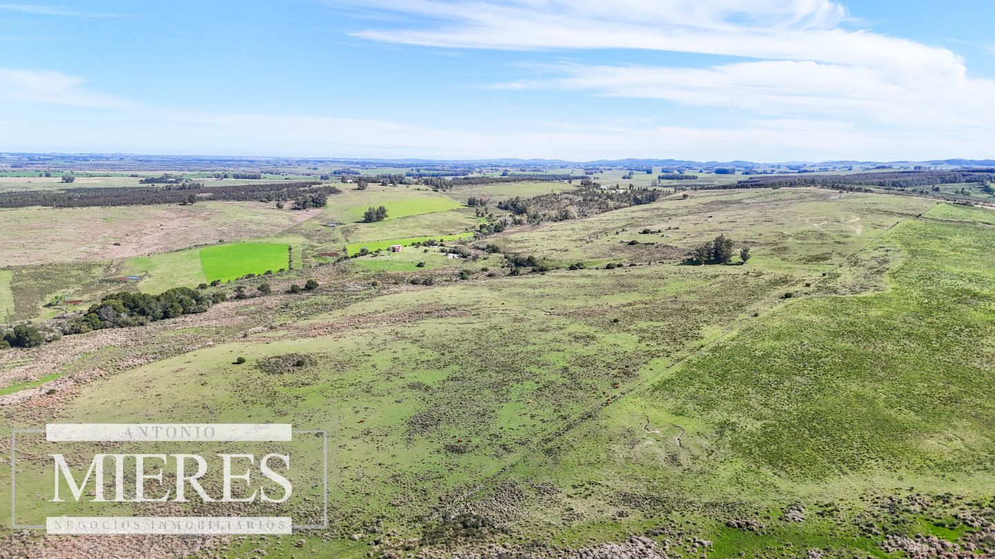Campo EN VENTA