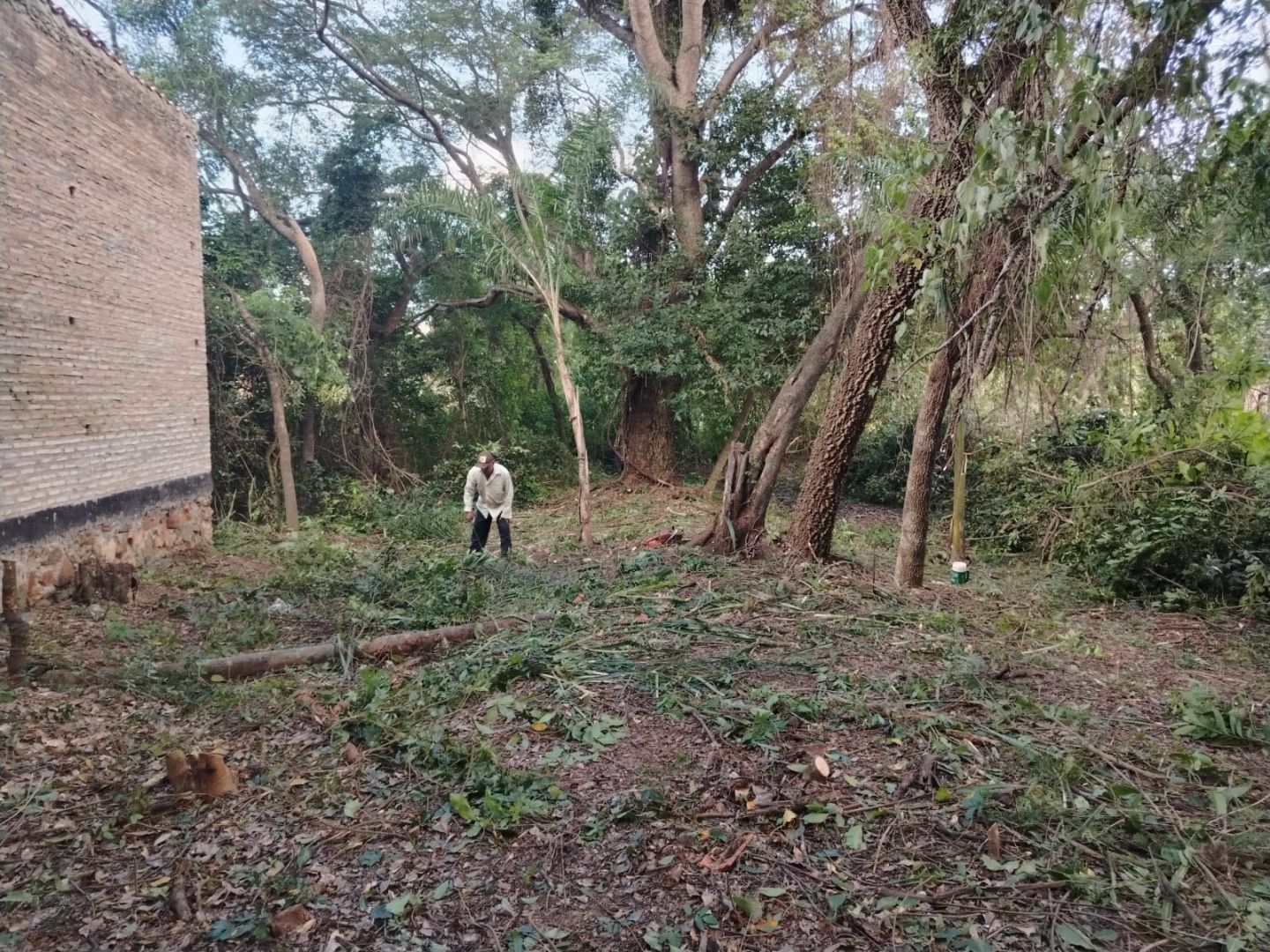 Terreno en venta Santo Domengo 