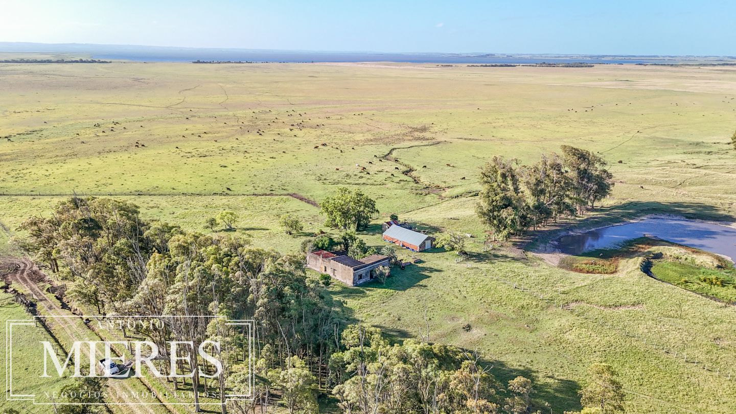Campo EN VENTA