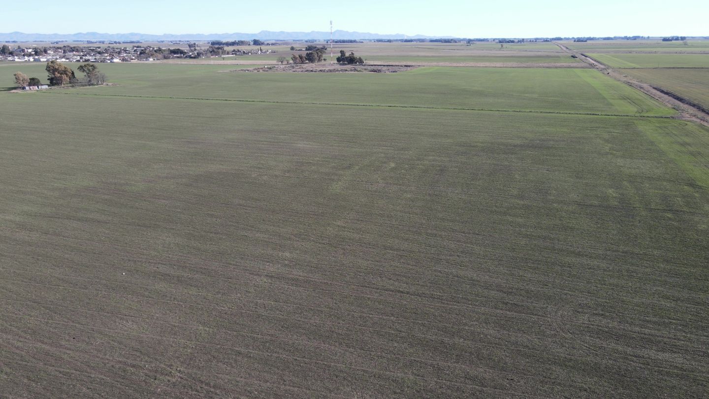 Campo EN VENTA