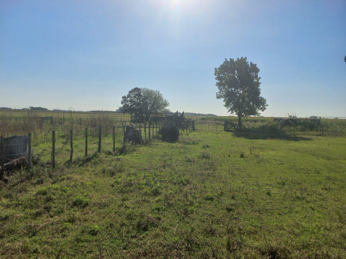 Campo EN VENTA