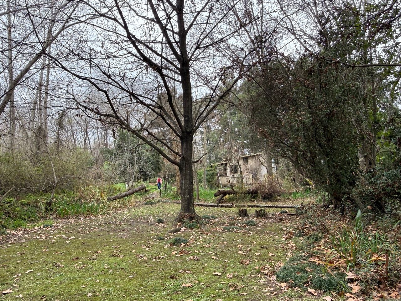 Imagen 8